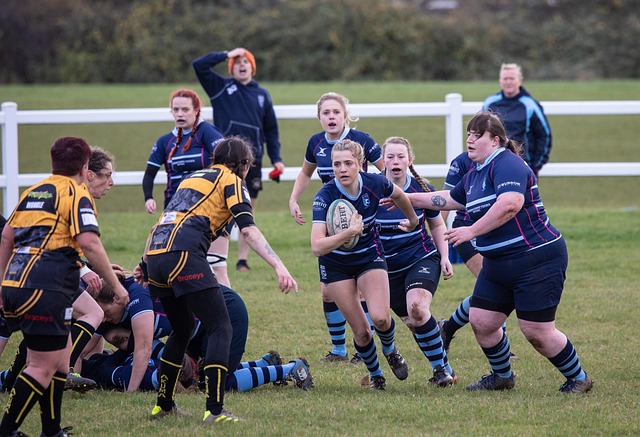 应和领导力 应和领导力